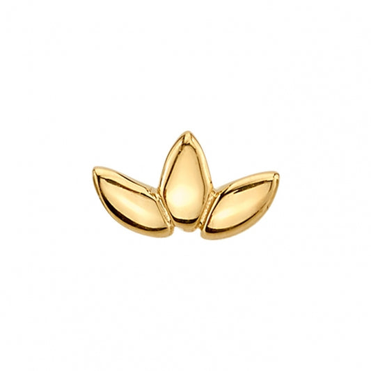 Polished Marquise Fan