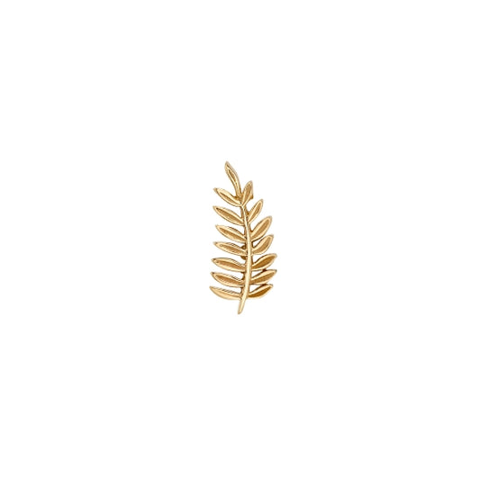 Tiny Fern