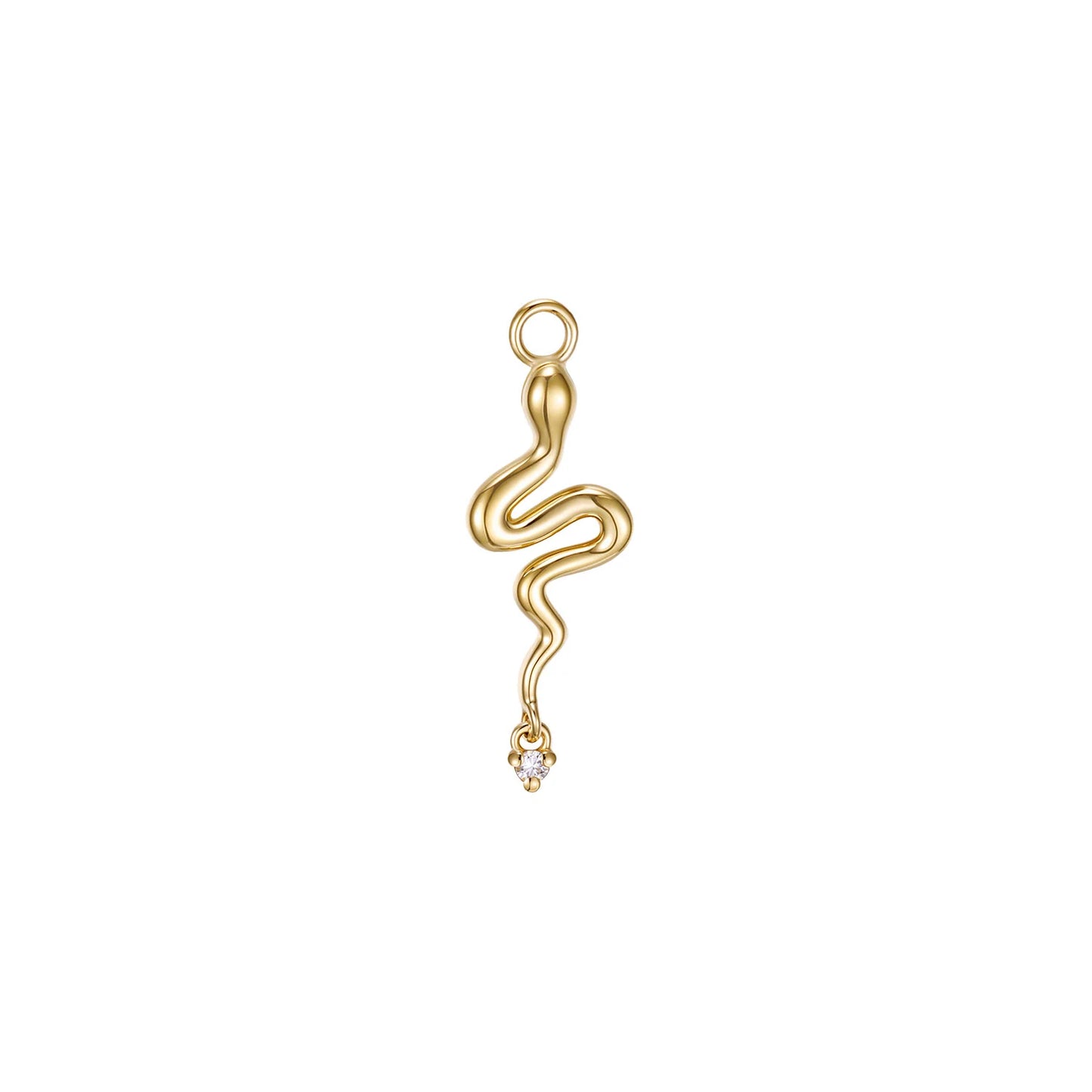 Coco Snake Charm